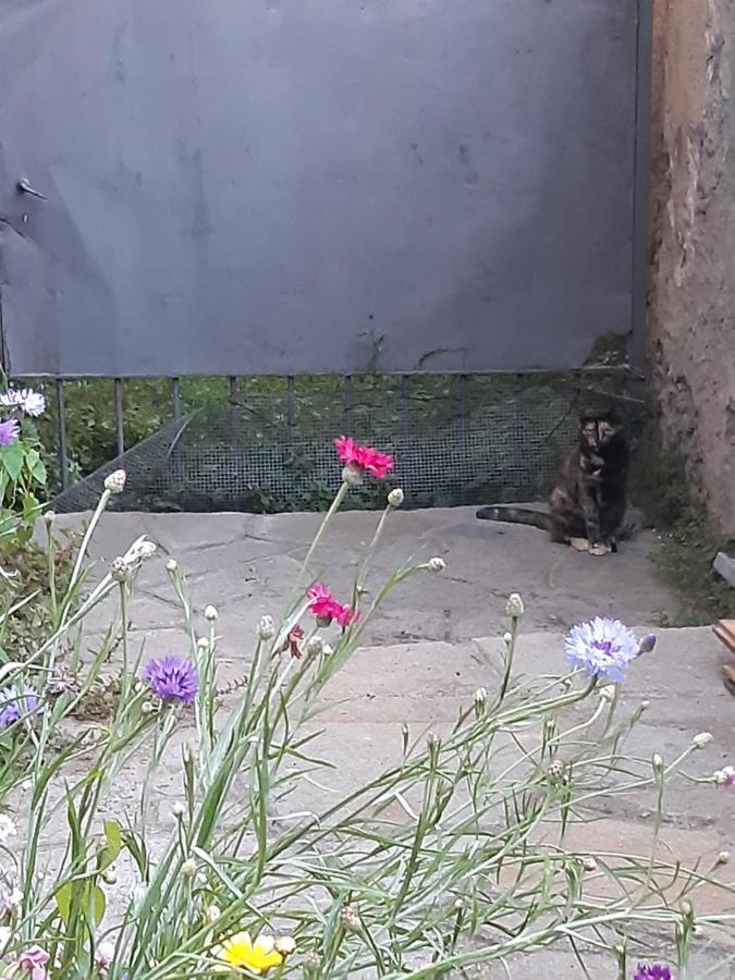 ホテル La Marmotta Luserna San Giovanni エクステリア 写真