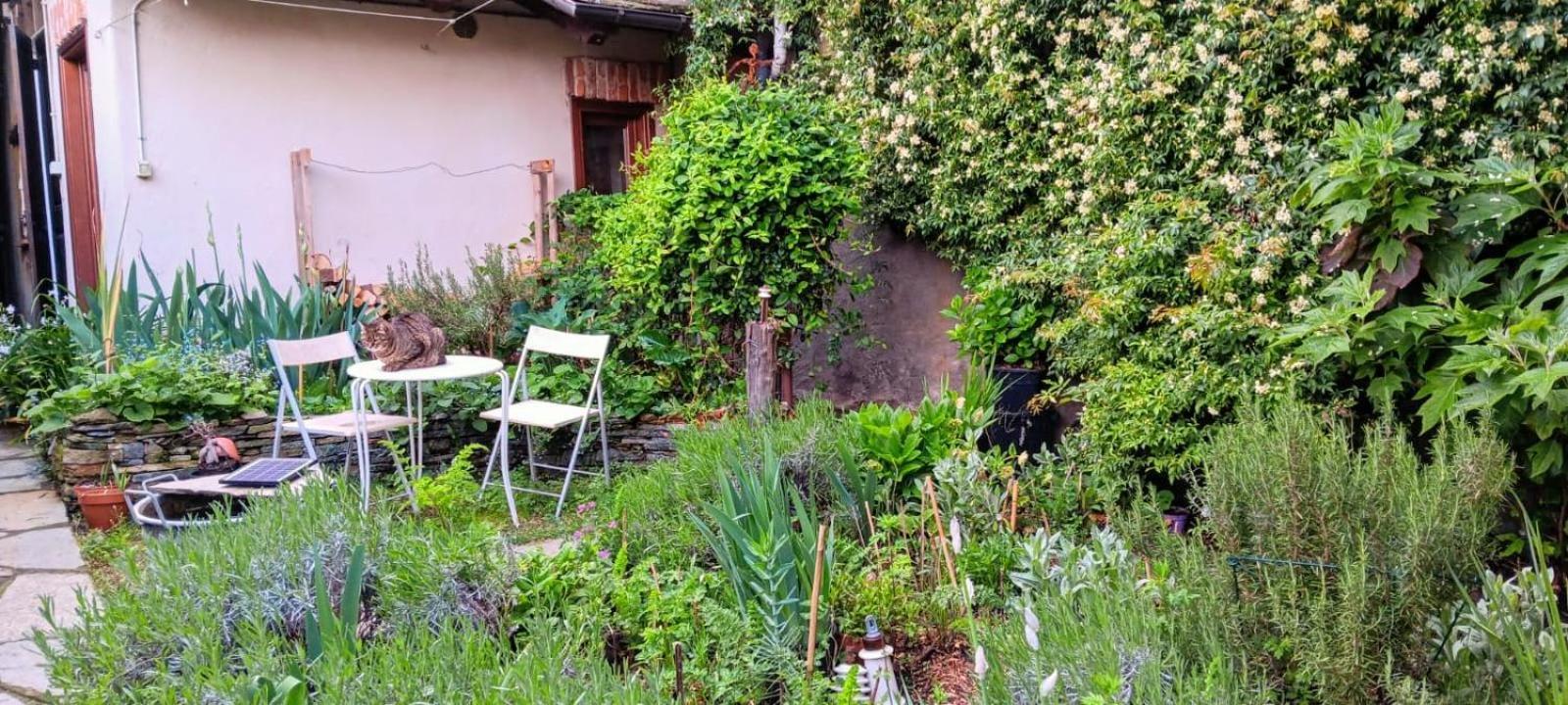 ホテル La Marmotta Luserna San Giovanni エクステリア 写真